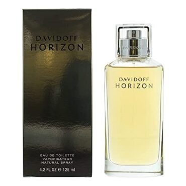 DAVIDOFF Horizon Eau de Toilette for him, 125ml